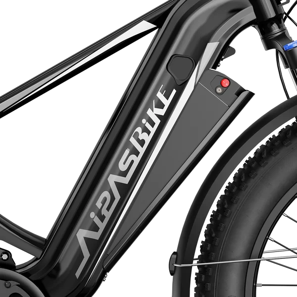 Aipas M2 Xterrain Ebike Aipas-M2-black Baskets. - Image 3