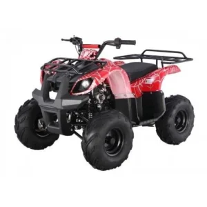 Tao Motors D125 Kids ATVs